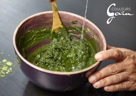 Coloration végétale — mélange de poudres et plantes